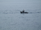 image/_fiskekutter-05.jpg