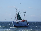 image/_fiskekutter-22.jpg