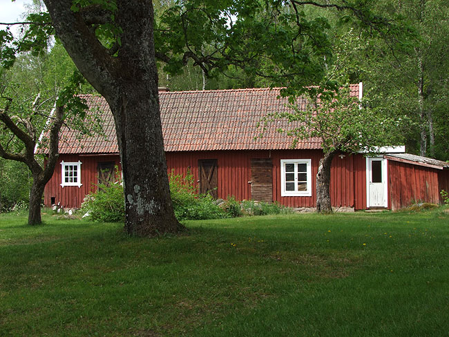 image/oedegaard-015.jpg
