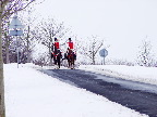 image/_fastelavn_veksoe-1217.jpg