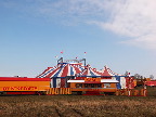 image/_cirkus_benneweis-279.jpg