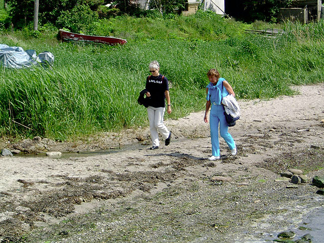 image/gaatur_paa_stranden-22.jpg