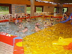 image/_oelstykke_svoemmehal-96.jpg