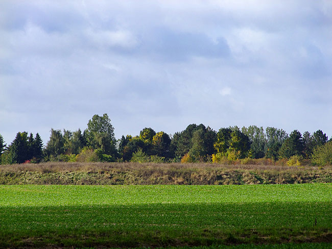 image/soerup_losseplads-923.jpg