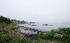 image/_fjordens_dag-4609.jpg