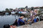 image/_fjordens_dag-4610.jpg