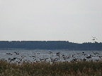 image/_canada_gaes-3530.jpg
