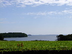 image/_astrup_vig-230.jpg