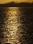 image/_roskilde_fjord-95.jpg