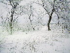 image/_landskab-vinter-71.jpg