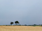 image/_landskab_marker-393.jpg