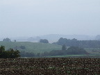 image/_landskab_morgendis-19.jpg