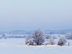 image/_vinter_landskab-607.jpg