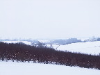 image/_vinter_landskab-741.jpg