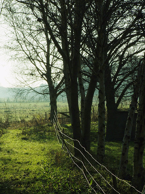image/aadalen-76.jpg