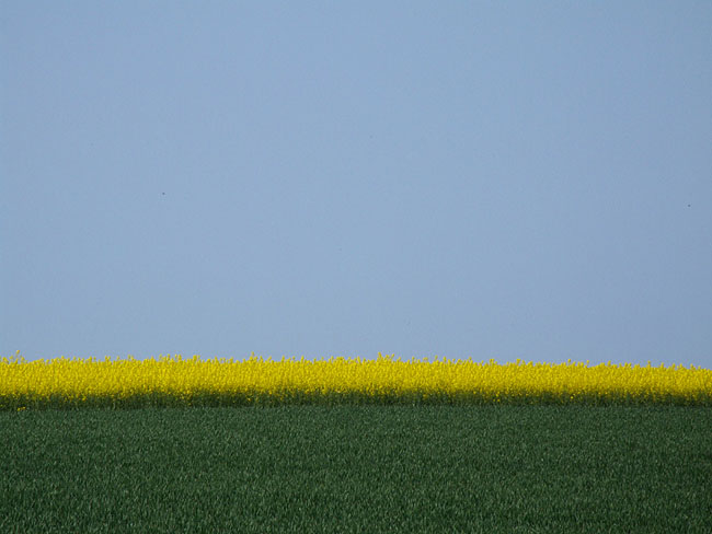 image/blaa_gul_groen-01.jpg