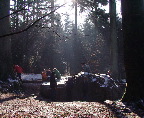 image/_myrestenen-19.jpg
