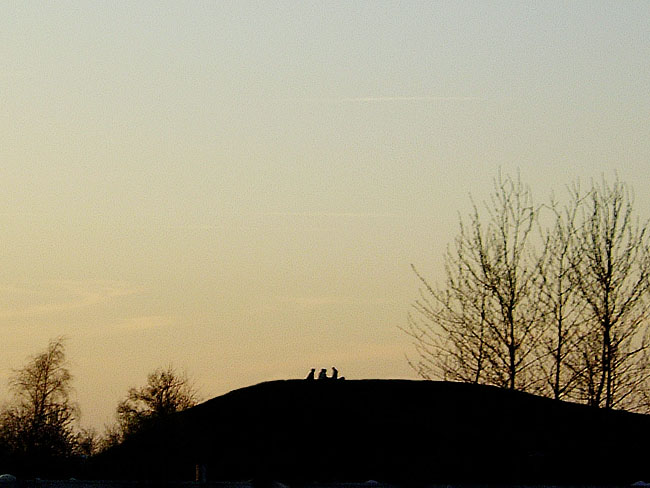 image/aftenhimmel-56.jpg