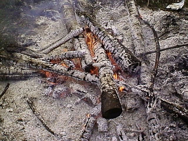image/baal-23.jpg