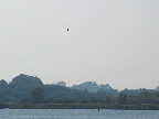 image/_naturreservat-14.jpg