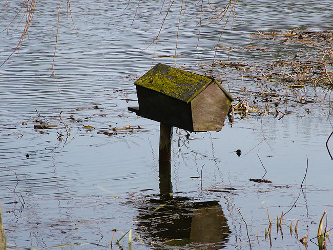 image/andehus-04.jpg
