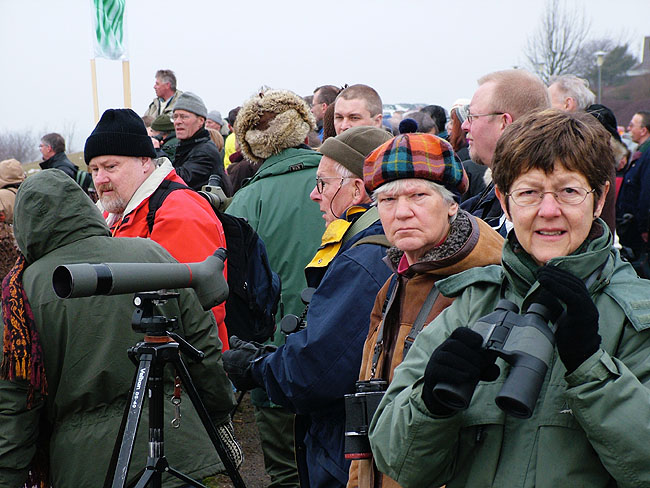 image/dof_oernenes_dag-15.jpg