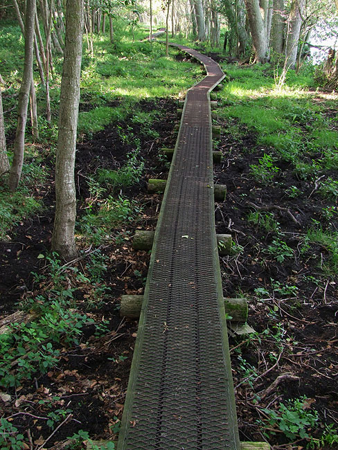 image/naturreservat-51.jpg