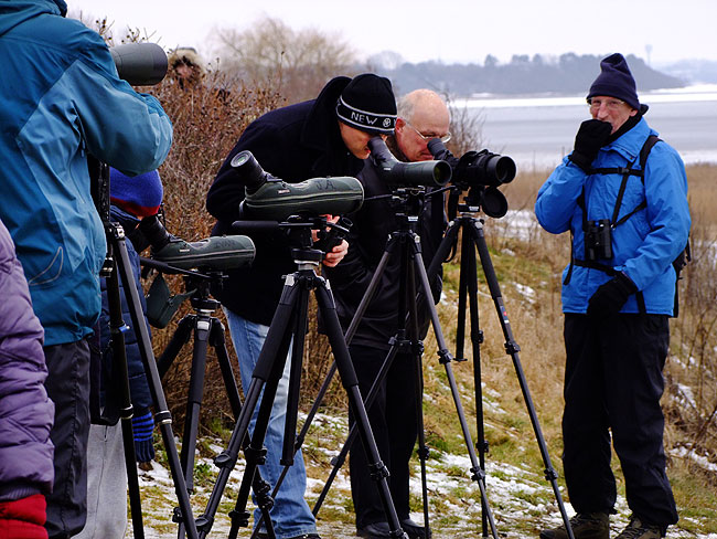 image/oernes_dag_2013-492.jpg