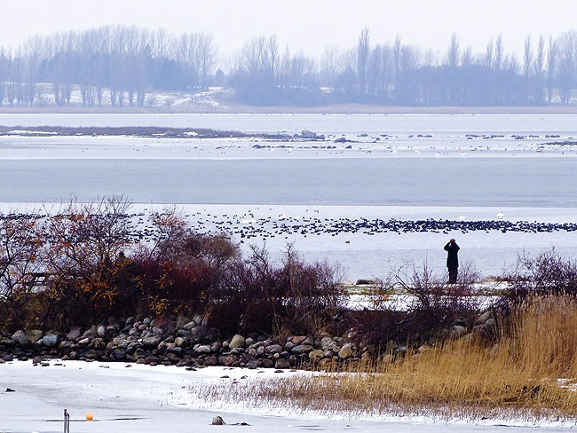 image/oernes_dag_2013-506.jpg