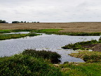 image/_skenkelsoe_omraadet-104.jpg