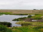 image/_skenkelsoe_omraadet-105.jpg