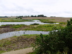 image/_skenkelsoe_omraadet-110.jpg