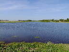image/_skenkelsoe_omraadet-212.jpg