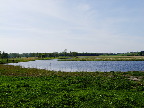 image/_skenkelsoe_omraadet-213.jpg