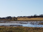 image/_skenkelsoe_omraadet-271.jpg