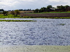 image/_skenkelsoe_omraadet-355.jpg