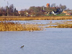 image/_skenkelsoe_omraadet-401.jpg