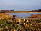 image/_skenkelsoe_omraadet-407.jpg