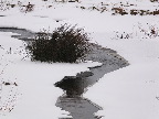 image/_skenkelsoe_omraadet-468.jpg