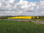 image/_skenkelsoe_omraadet-487.jpg