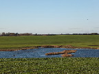 image/_skenkelsoe_omraadet-510.jpg