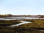 image/_skenkelsoe_omraadet-515.jpg