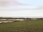 image/_skenkelsoe_omraadet-519.jpg