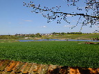 image/_skenkelsoe_omraadet-531.jpg