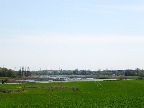image/_skenkelsoe_omraadet-534.jpg