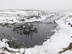 image/_skenkelsoe_omraadet-568.jpg