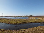 image/_skenkelsoe_omraadet-578.jpg