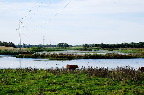 image/_skenkelsoe_omraadet-595.jpg