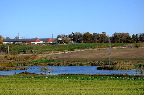 image/_skenkelsoe_omraadet-601.jpg