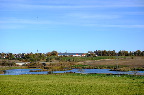 image/_skenkelsoe_omraadet-602.jpg